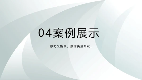 高端品牌介绍策划方案工作总结计划PPT