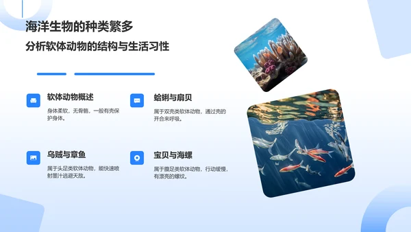 蓝色摄影风海洋生物知识科普PPT模板