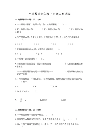 小学数学六年级上册期末测试卷（突破训练）word版.docx