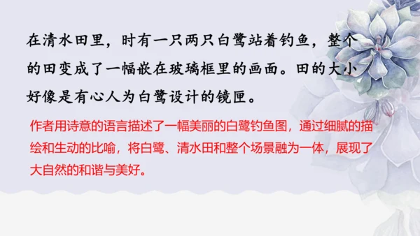 《1 白鹭》课件