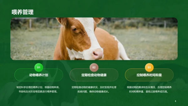绿色现代养殖流程管理与疾病预防PPT模板