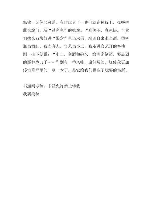 2022年我的乐园作文800字