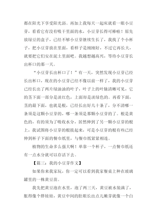 我的小豆芽作文.docx