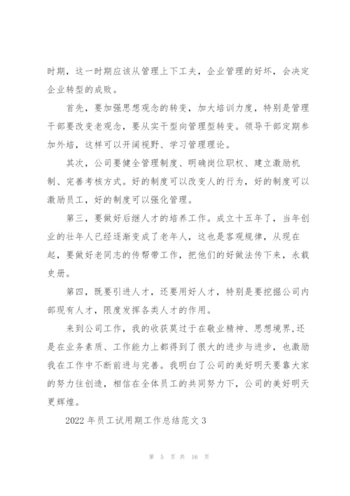 2022年员工试用期工作总结范文.docx