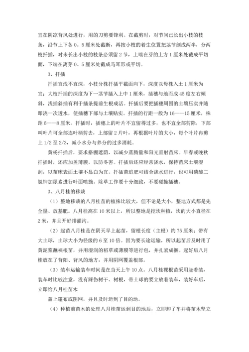 植物学实习报告锦集6篇.docx