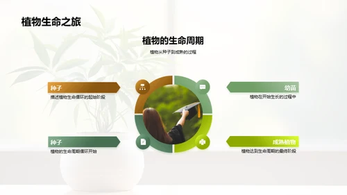 植物成长揭秘