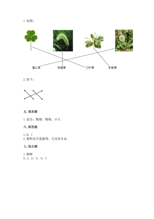 教科版科学一年级上册第一单元《植物》测试卷附答案（培优b卷）.docx