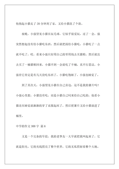 高中的作文300字65