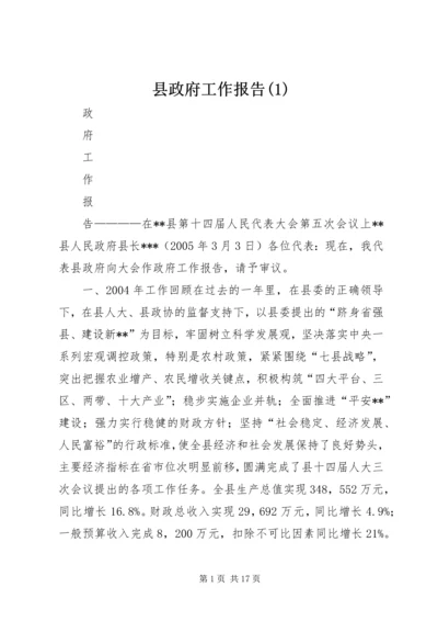 县政府工作报告(1).docx