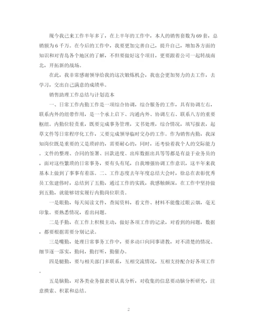 精编之销售助理工作总结与计划范本.docx