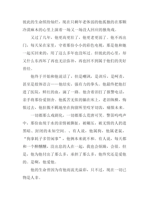 他和他作文0.docx