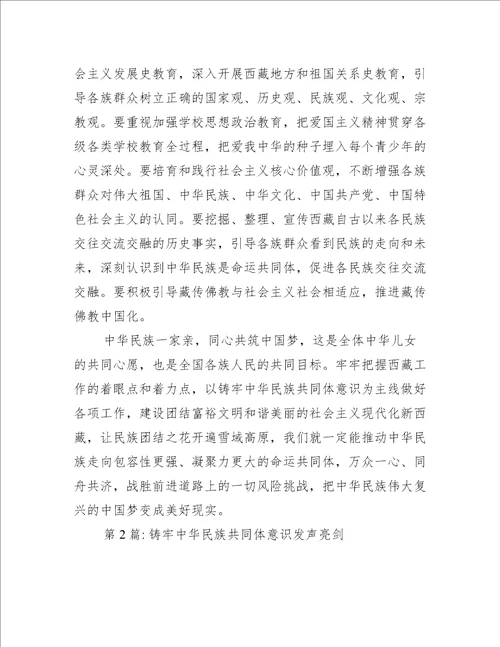 铸牢中华民族共同体意识发声亮剑范文(通用8篇)