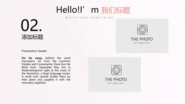 妇幼保健站站长工作述职报告动态PPT