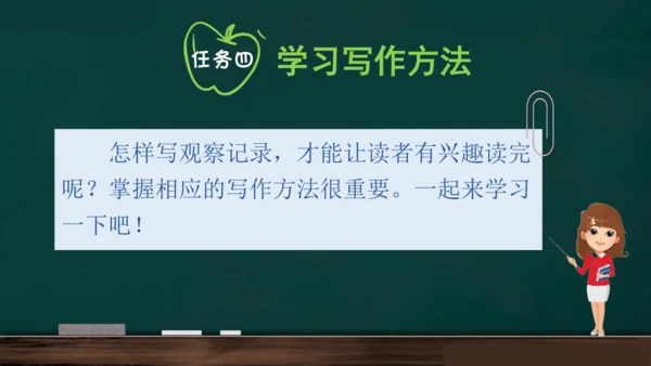 统编版语文三年级上册 第五单元习作： 我们眼中的缤纷世界课件