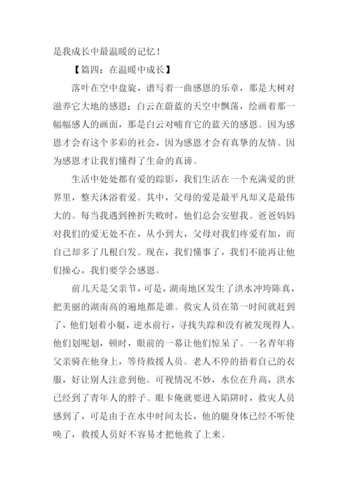 在温暖中成长作文.docx