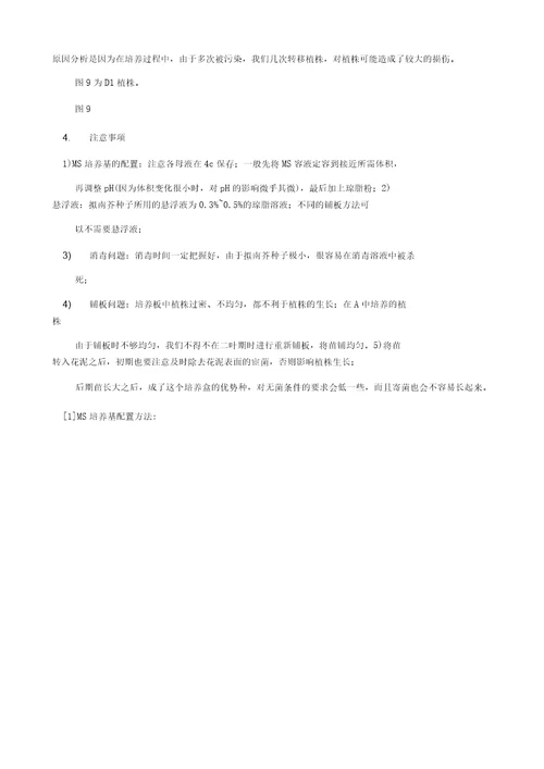 植物的多倍体培养