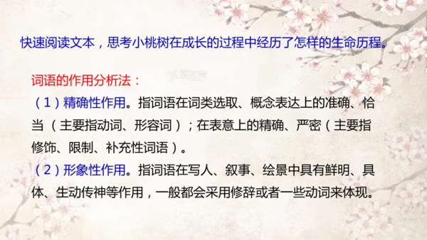 第19课 一棵小桃树 课件(共24张PPT)