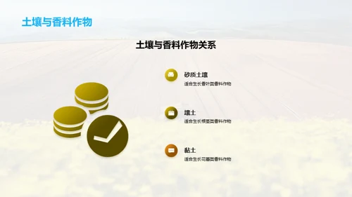 香料种植：科技助力