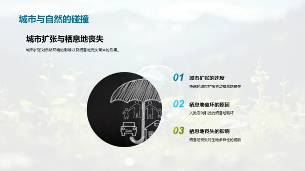 探秘生态环境