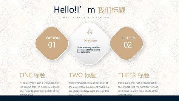 高档尊贵酒店公寓创业项目商业计划书动态PPT