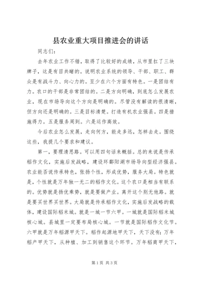 县农业重大项目推进会的讲话.docx