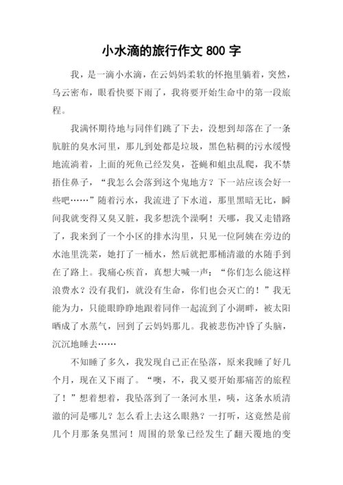 小水滴的旅行作文800字.docx