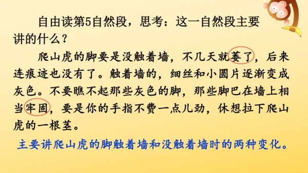10 爬山虎的脚   课件