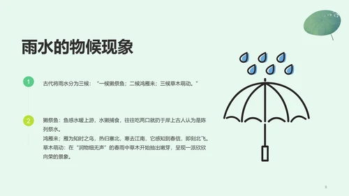 绿色插画雨水节气科普介绍PPT
