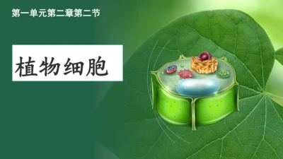 人教版（2024）七年级上册1.2.1 植物细胞 课件(共34张PPT)