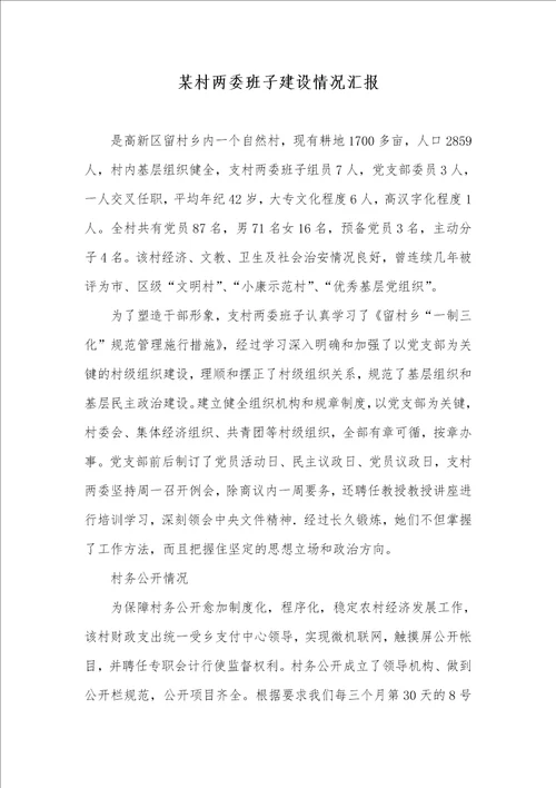 某村两委班子建设情况汇报