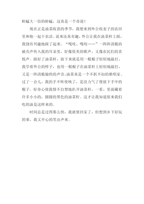 关于生活趣事的作文.docx