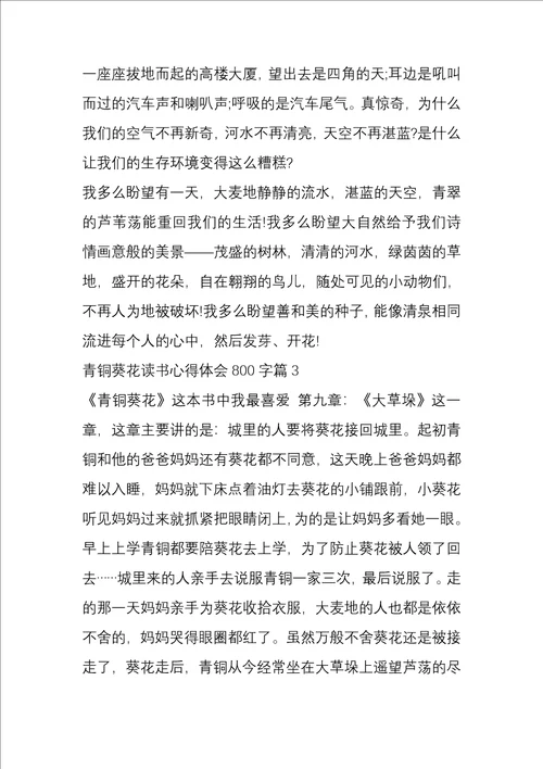 青铜葵花读书心得体会800字5篇