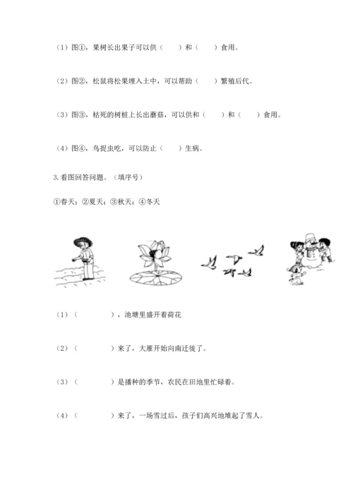 教科版二年级上册科学期末测试卷含完整答案【精选题】.docx
