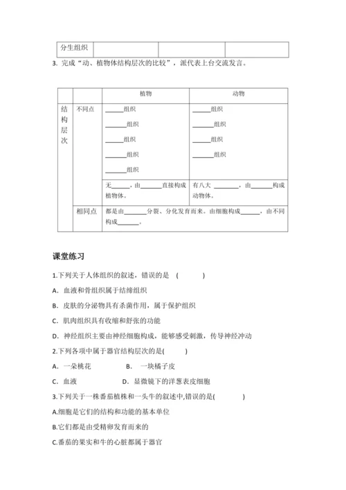 植物体结构层次教案