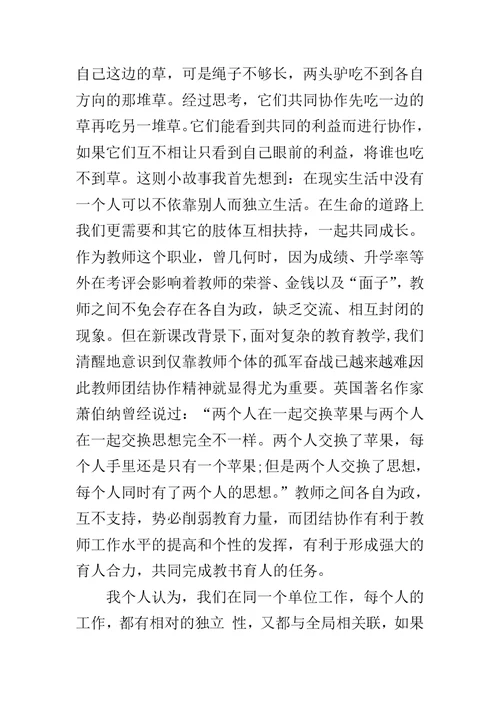 教师团结合作心得体会