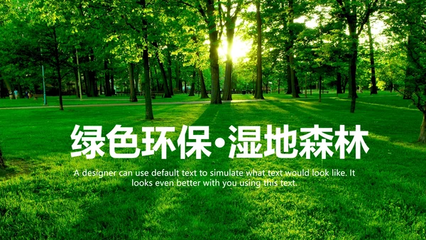湿地森林世界湿地森林日植树造林动态PPT模板