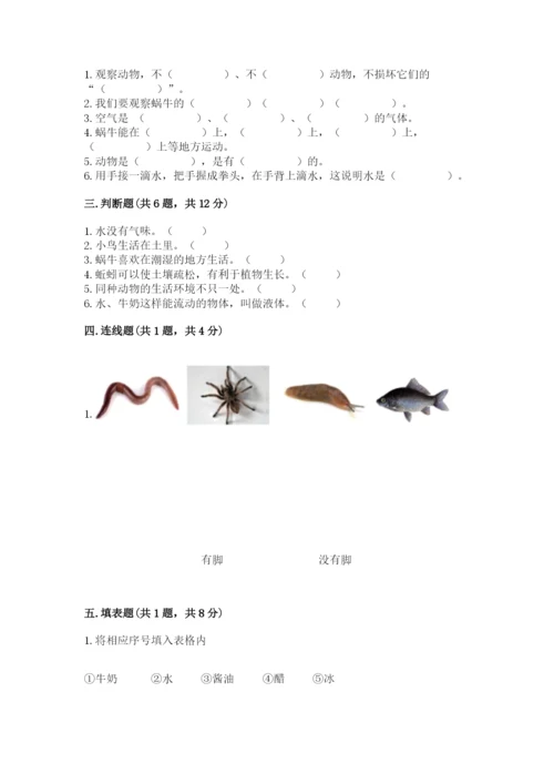 教科版一年级下册科学期末测试卷含答案（巩固）.docx