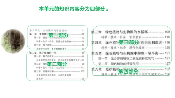 第三单元 生物圈中的绿色植物（单元解读课件）-七年级生物上册同步备课系列（人教版）