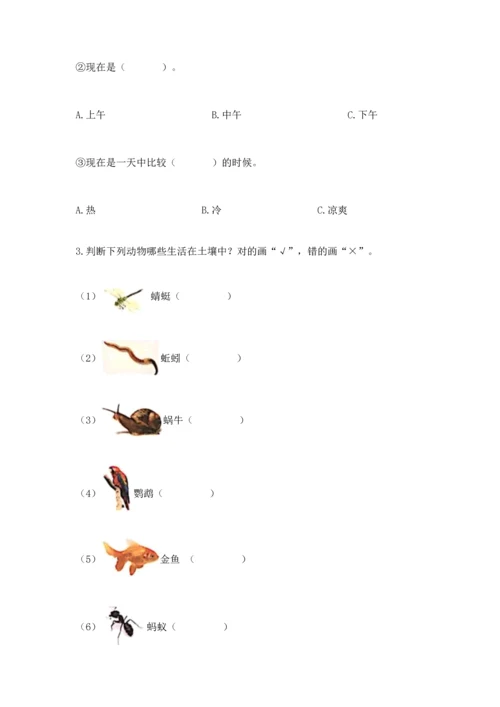 教科版二年级上册科学期末测试卷含完整答案（易错题）.docx