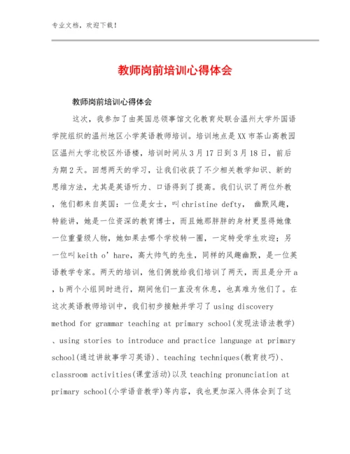 教师岗前培训心得体会优选例文9篇.docx