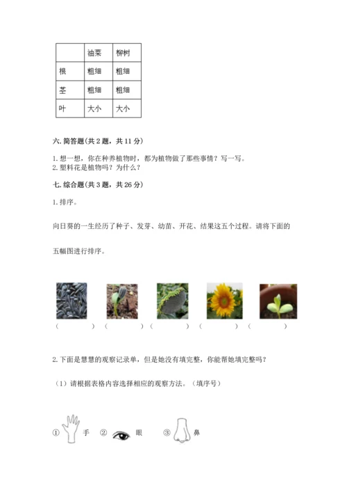 教科版科学一年级上册第一单元《植物》测试卷【达标题】.docx