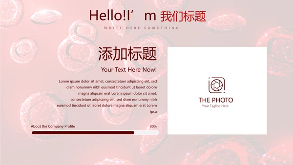 红细胞血小板动态PPT
