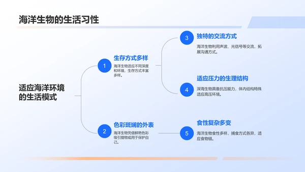 蓝色摄影风海洋生物知识科普PPT模板