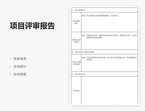 项目评审报告