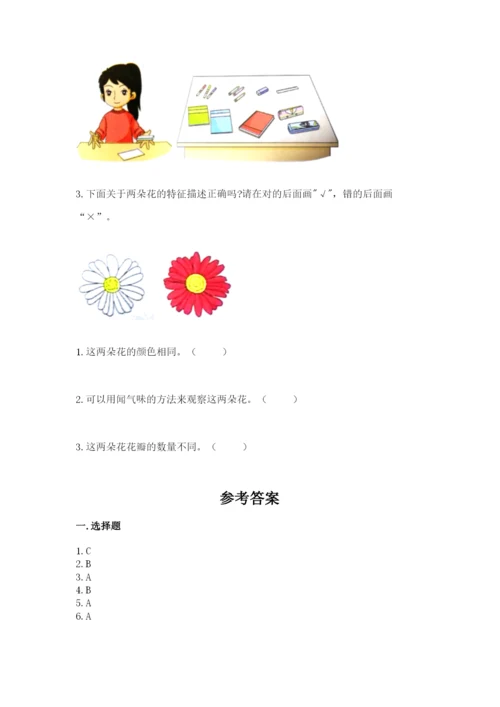 教科版小学科学一年级下册期末测试卷及参考答案【基础题】.docx
