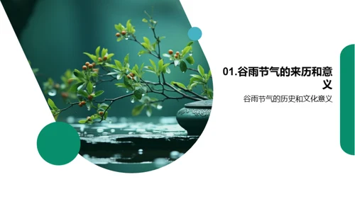 谷雨节气与环保