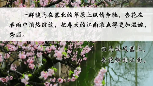 统编版语文二年级上册 课文3  语文园地四（课件）