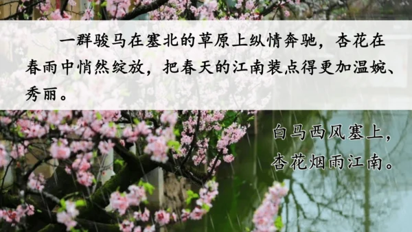 统编版语文二年级上册 课文3  语文园地四（课件）