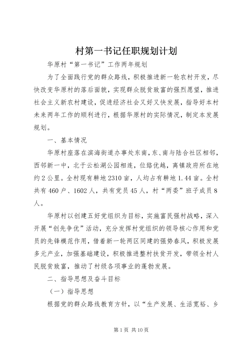 村第一书记任职规划计划.docx