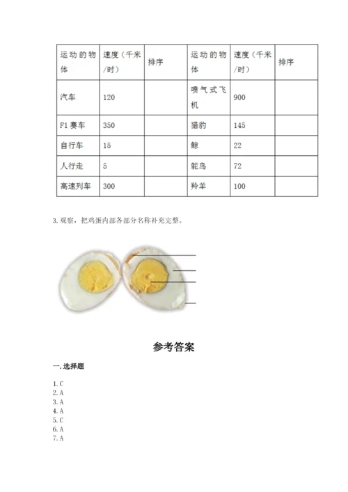 教科版小学科学三年级下册 期末测试卷及参考答案（研优卷）.docx